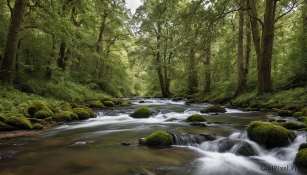 outdoors,day,water,tree,no humans,nature,scenery,forest,rock,river,waterfall,landscape,stream,sunlight,grass,bush,moss