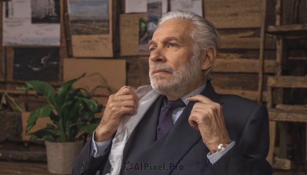 solo,short hair,shirt,long sleeves,1boy,jacket,white shirt,upper body,white hair,grey hair,male focus,necktie,collared shirt,indoors,black jacket,facial hair,formal,suit,plant,towel,beard,watch,mature male,realistic,mustache,wristwatch,potted plant,old,old man,purple necktie,black suit,photo background,wrinkled skin,signature,blurry,vest,blurry background,manly