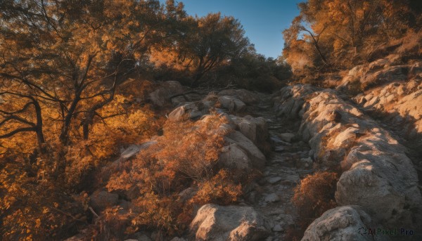 outdoors,sky,day,tree,blue sky,no humans,leaf,nature,scenery,forest,rock,autumn leaves,autumn,stone,1girl,solo