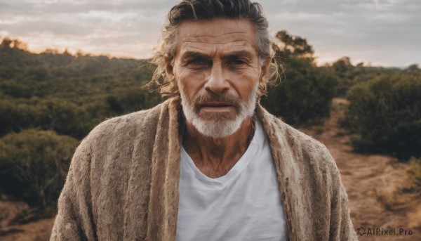 solo,looking at viewer,short hair,shirt,1boy,closed mouth,white shirt,upper body,male focus,outdoors,sky,cloud,blurry,black eyes,tree,blurry background,facial hair,nature,facing viewer,beard,brown jacket,realistic,mustache,manly,old,old man,wrinkled skin,black hair,jacket,scar,scar on face,scar across eye,photo background