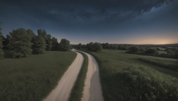 outdoors,sky,cloud,water,tree,no humans,night,grass,star (sky),nature,night sky,scenery,forest,starry sky,horizon,road,field,river,landscape,path,hill,ocean,sunset,bush,shore