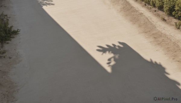 A unique subject set against the backdrop of a captivating day