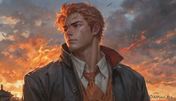 solo,short hair,blonde hair,brown hair,shirt,1boy,brown eyes,closed mouth,jacket,white shirt,upper body,male focus,outdoors,open clothes,necktie,sky,collared shirt,cloud,vest,black jacket,looking to the side,blood,bird,scar,looking away,thick eyebrows,cloudy sky,red necktie,building,sunset,blood on face,realistic,open jacket,fire,injury