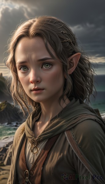 1girl,solo,long hair,looking at viewer,brown hair,jewelry,closed mouth,green eyes,upper body,braid,earrings,outdoors,sky,pointy ears,artist name,cloud,hood,medium hair,water,cape,blurry,lips,grey eyes,blood,blurry background,ocean,cloudy sky,elf,cloak,forehead,freckles,realistic,nose,short hair,blonde hair,parted lips,day,beach,sunlight