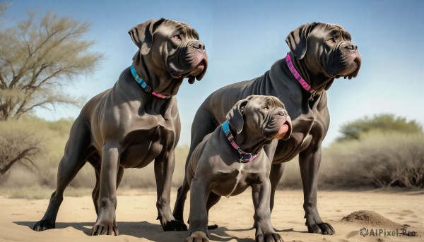 HQ,looking at viewer,red eyes,standing,outdoors,sky,day,collar,tree,blue sky,no humans,shadow,animal,dog,realistic,leash,animal focus,tongue,signature,tongue out