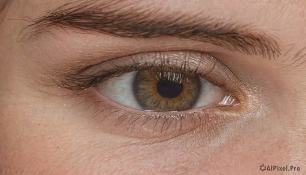 solo,looking at viewer,blue eyes,1boy,male focus,eyelashes,traditional media,close-up,1other,reflection,realistic,eye focus,brown theme