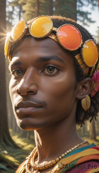 A delightful capture of a male within day