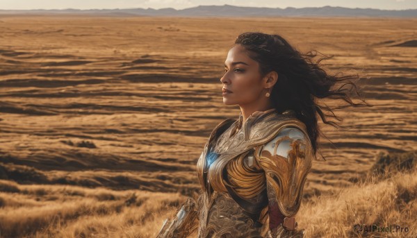 1girl,solo,long hair,brown hair,black hair,brown eyes,jewelry,upper body,earrings,outdoors,dark skin,armor,dark-skinned female,lips,looking to the side,floating hair,wind,shoulder armor,pauldrons,breastplate,realistic,looking afar,from side,profile,grass,scenery,nose,sand,field,gold armor