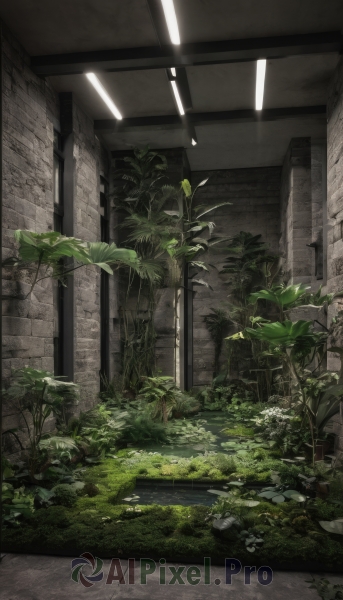 outdoors,day,indoors,no humans,window,leaf,grass,plant,scenery,rock,door,potted plant,wall,ruins,ceiling,moss,ceiling light,overgrown