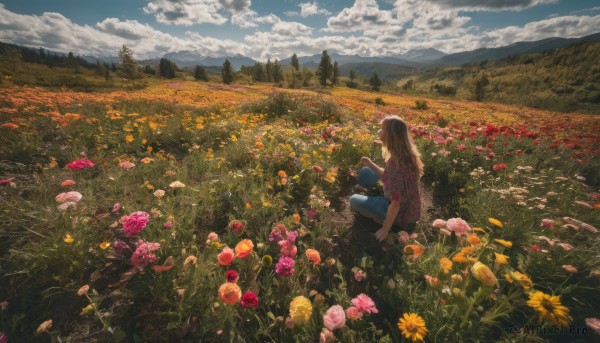 1girl, solo, long hair, brown hair, shirt, sitting, flower, outdoors, sky, barefoot, day, pants, cloud, from behind, tree, cloudy sky, grass, denim, nature, scenery, jeans, yellow flower, blue pants, facing away, field, wide shot, flower field, landscape