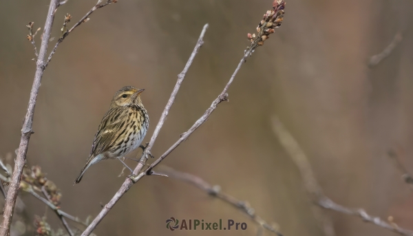 outdoors,blurry,tree,no humans,depth of field,blurry background,bird,animal,from above,flying,brown background,branch,animal focus,simple background,flower,traditional media,scenery,blurry foreground,realistic,owl,sparrow