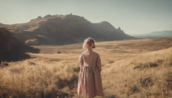 1girl,solo,short hair,brown hair,black hair,long sleeves,1boy,standing,male focus,outdoors,sky,day,from behind,blue sky,coat,feet out of frame,grass,scenery,mountain,facing away,field,mountainous horizon,dress,white dress,wind,landscape