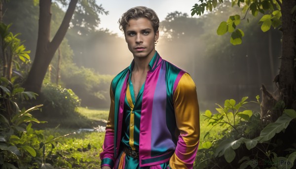 The beauty of a male set in a enchanting day