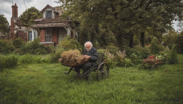 solo,1boy,sitting,jacket,flower,male focus,outdoors,food,sky,day,pants,cloud,tree,window,fruit,facial hair,chair,sunglasses,grass,building,nature,scenery,mustache,apple,basket,bald,house,old,old man,cart,1girl,hat,white hair,glasses,cloudy sky,beard,forest,bicycle,old woman,wheelchair,wrinkled skin