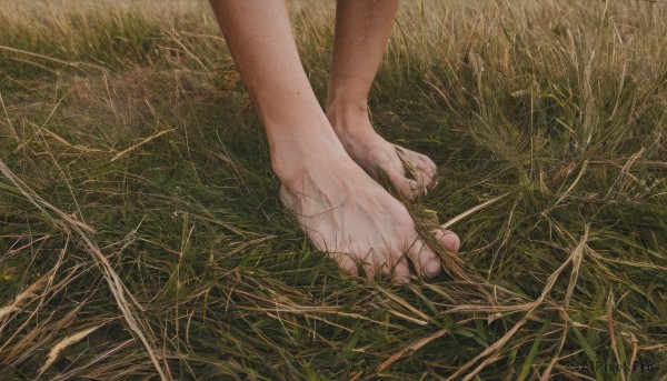 1boy,male focus,outdoors,barefoot,2boys,feet,toes,grass,plant,nature,1other,out of frame,realistic,foot focus,1girl,solo,lying,scenery,injury,field,on ground,dirty,dirty feet