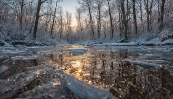 A vivid snowy day highlighting a landscape