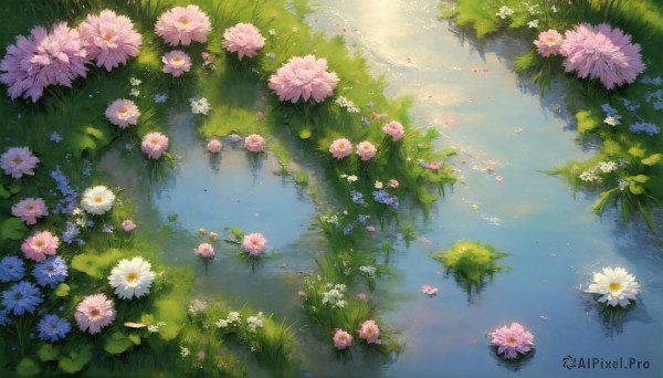 HQ,flower,outdoors,day,water,petals,no humans,from above,grass,white flower,nature,scenery,pink flower,reflection,purple flower,lily pad,lotus,pond,tree,leaf,sunlight,plant,cherry blossoms,blue flower,river,lake,reflective water