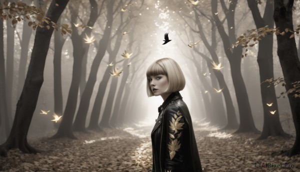 1girl,solo,short hair,bangs,blonde hair,jacket,upper body,outdoors,blunt bangs,from side,tree,lips,black jacket,profile,bird,animal,leaf,sunlight,bob cut,bug,butterfly,nature,scenery,forest,realistic,nose,leather,leather jacket,looking at viewer,blue eyes,autumn leaves,autumn