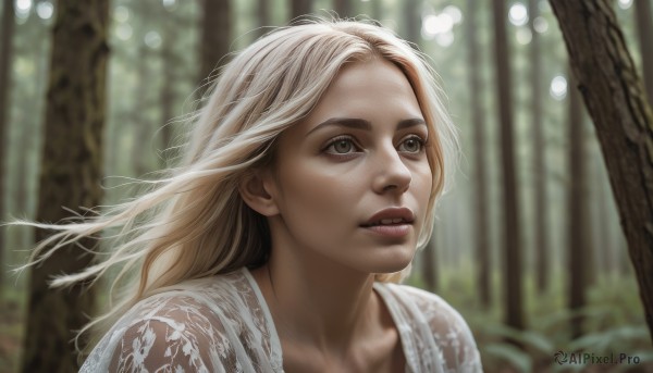 1girl,solo,long hair,blonde hair,brown eyes,upper body,outdoors,parted lips,teeth,day,blurry,tree,lips,grey eyes,depth of field,blurry background,looking up,portrait,nature,forest,freckles,realistic,nose,sunlight,wind