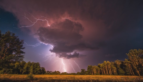 outdoors,sky,cloud,tree,no humans,night,cloudy sky,grass,star (sky),nature,night sky,scenery,forest,starry sky,electricity,lightning,landscape