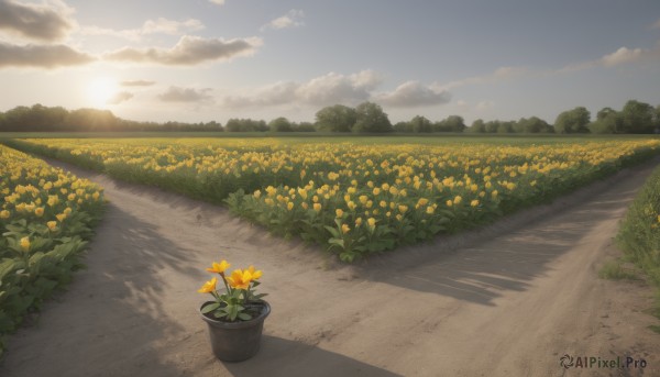 A breathtaking sunset day featuring a landscape