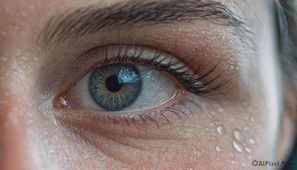 1girl,solo,looking at viewer,blue eyes,1boy,blurry,eyelashes,depth of field,close-up,1other,reflection,water drop,realistic,eye focus,male focus