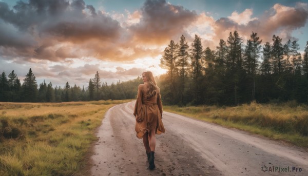 1girl,solo,long hair,brown hair,long sleeves,standing,jacket,boots,outdoors,sky,day,cloud,black footwear,tree,coat,cloudy sky,grass,nature,scenery,forest,walking,sunset,road,wide shot,brown coat,path,from behind,sunlight,field,landscape