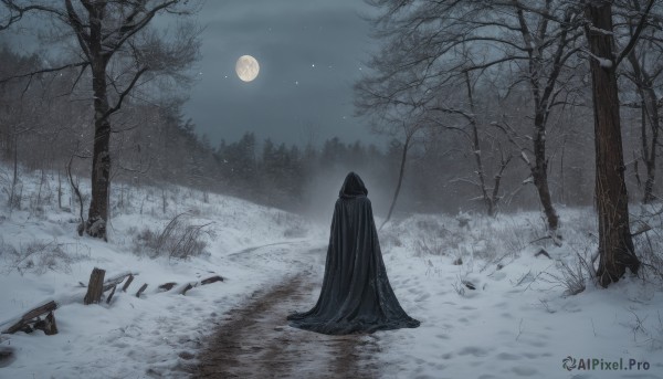 solo,1boy,weapon,outdoors,sky,hood,from behind,cape,tree,torn clothes,no humans,night,moon,grass,star (sky),nature,night sky,scenery,cloak,snow,full moon,forest,winter,hooded cloak,bare tree,black cloak,moonlight,1girl,hood up,starry sky,snowing,pine tree