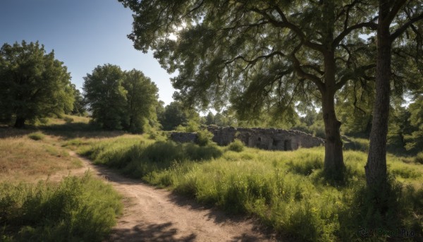 A landscape caught in a peaceful day