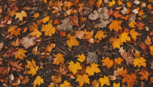 1girl,solo,tree,no humans,animal,leaf,from above,traditional media,nature,scenery,autumn leaves,maple leaf,autumn,orange theme,long sleeves,outdoors,lying,branch,ginkgo leaf