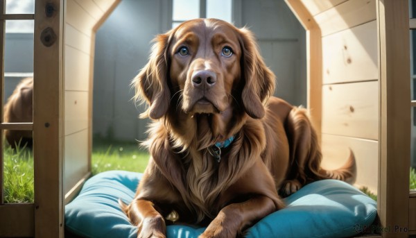The serene presence of a dog in a peaceful day