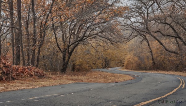 outdoors,sky,day,tree,no humans,leaf,grass,nature,scenery,forest,road,autumn leaves,bare tree,autumn,path,cloud,realistic,street,landscape