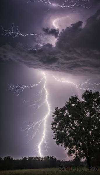 A lightning captured beautifully in a tranquil outdoors