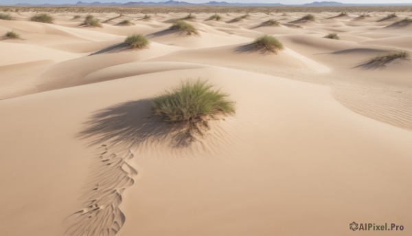 outdoors,sky,day,water,tree,no humans,shadow,ocean,beach,nature,scenery,sand,road,landscape,shore,desert,plant,close-up,realistic,still life