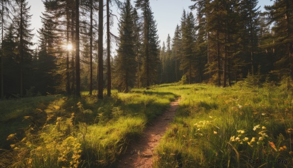 A landscape showcased in a tranquil sunset day