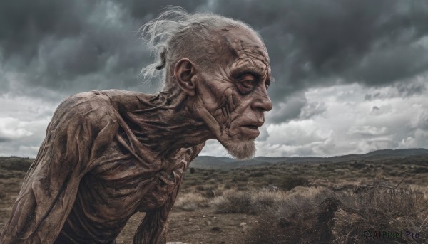 solo,1boy,closed mouth,upper body,ponytail,white hair,male focus,outdoors,sky,cloud,from side,profile,facial hair,cloudy sky,short ponytail,realistic,old,old man,short hair,day