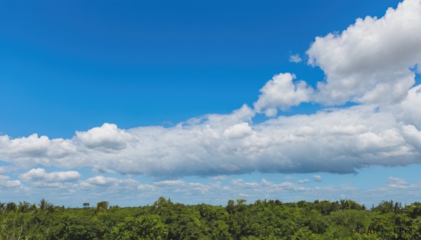 A glimpse of a landscape in a picturesque day