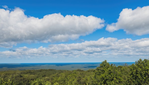 outdoors,sky,day,cloud,water,tree,blue sky,no humans,ocean,cloudy sky,grass,nature,scenery,forest,horizon,field,summer,landscape