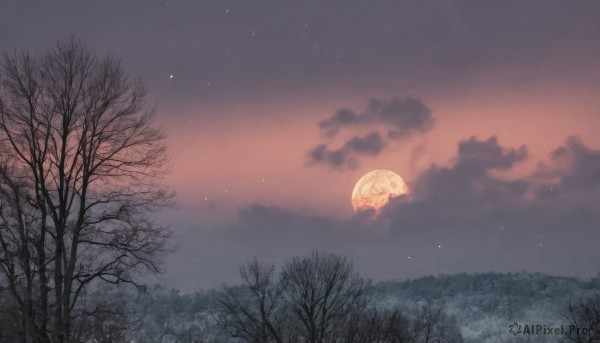 outdoors,sky,cloud,tree,no humans,night,umbrella,cloudy sky,grass,star (sky),nature,night sky,scenery,forest,starry sky,holding umbrella,parasol,bare tree,gradient sky,moon,full moon,red sky