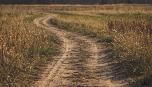 outdoors,day,blurry,tree,no humans,depth of field,grass,plant,nature,scenery,road,field,path,water,night,traditional media,ground vehicle,puddle