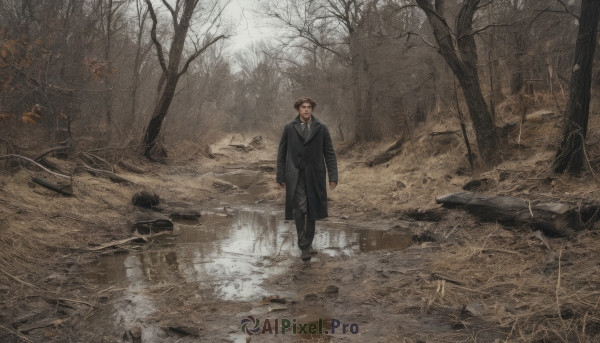 solo,looking at viewer,short hair,brown hair,shirt,black hair,long sleeves,1boy,standing,jacket,male focus,outdoors,necktie,shoes,pants,water,black footwear,tree,coat,facial hair,black pants,nature,scenery,forest,reflection,walking,black coat,ruins,bare tree,puddle,fog,hat,white shirt,boots,wide shot