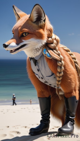 long hair,looking at viewer,blue eyes,blonde hair,shirt,gloves,1boy,animal ears,jewelry,standing,jacket,tail,full body,white shirt,braid,boots,outdoors,sky,sleeveless,solo focus,day,pants,artist name,water,black footwear,blurry,blue sky,black jacket,fox ears,no humans,sleeveless shirt,single braid,buttons,depth of field,blurry background,fox tail,ocean,animal,fangs,beach,slit pupils,brooch,furry,colored sclera,sand,furry male,body fur,animal focus,clothed animal,orange fur,bow,male focus,black gloves,bowtie,black bow,black pants,gem,braided ponytail,realistic,fox,blue gemstone