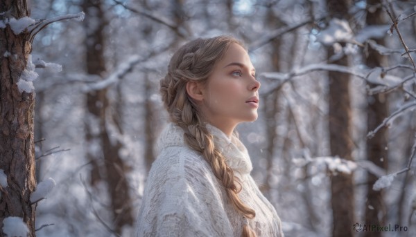 1girl, solo, long hair, blue eyes, brown hair, upper body, braid, outdoors, parted lips, blurry, twin braids, sweater, tree, lips, depth of field, looking up, hair over shoulder, snow, snowing, realistic, winter, bare tree