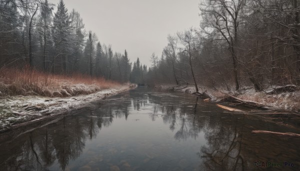 A stunning landscape within a lush snowy day