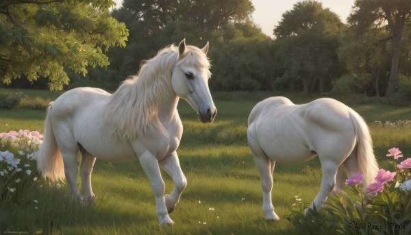 standing,flower,outdoors,day,signature,tree,no humans,animal,sunlight,grass,white flower,nature,scenery,pink flower,forest,realistic,animal focus,horse,full body,sky,bush,field