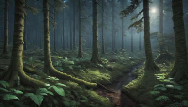 A calm outdoors highlighting a landscape
