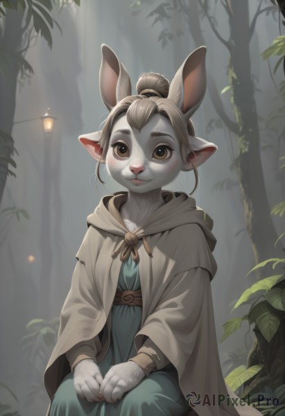 1girl,solo,looking at viewer,smile,long sleeves,dress,animal ears,brown eyes,sitting,closed mouth,ponytail,grey hair,outdoors,pointy ears,hood,hair bun,rabbit ears,tree,blue dress,single hair bun,hood down,own hands together,nature,cloak,furry,forest,green dress,robe,furry female,body fur,white fur,animal nose,hands on lap,grey fur,blush,brown hair,extra ears,long dress,lamppost,whiskers