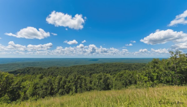 outdoors,sky,day,cloud,tree,blue sky,no humans,cloudy sky,grass,nature,scenery,forest,mountain,horizon,field,landscape,mountainous horizon,hill,water,ocean