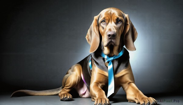 HQ,solo,brown eyes,full body,necktie,striped,grey background,collar,no humans,animal,parody,formal,suit,claws,dog,blue necktie,realistic,animal focus,striped necktie,animalization,clothed animal,looking at viewer,simple background,ribbon,standing,tail,tongue,virtual youtuber,tongue out,blue ribbon,blue neckerchief,animal collar