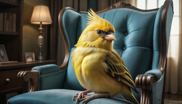 HQ,solo,looking at viewer,sitting,indoors,blurry,black eyes,no humans,window,depth of field,bird,animal,chair,sunlight,feathers,curtains,couch,realistic,bookshelf,lamp,animal focus,picture frame,armchair,painting (object),talons,picture (object),photo (object),beak,parrot